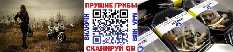 купить наркоту Мостовской Галлюциногенные грибы Magic Shrooms
